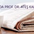 Basında Ateş Karateke